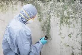 Professional Mold Removal & Remediation in Glenrock, WY